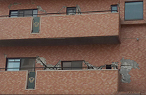 003.JPG